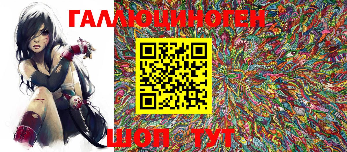 Фурманов  Галлюциногенные грибы Psilocybine cubensis  Вход с VPN 