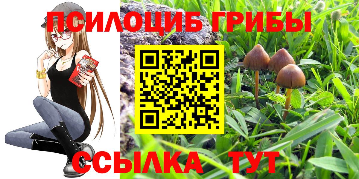 Псилоцибиновые грибы Magic Shrooms Фурманов